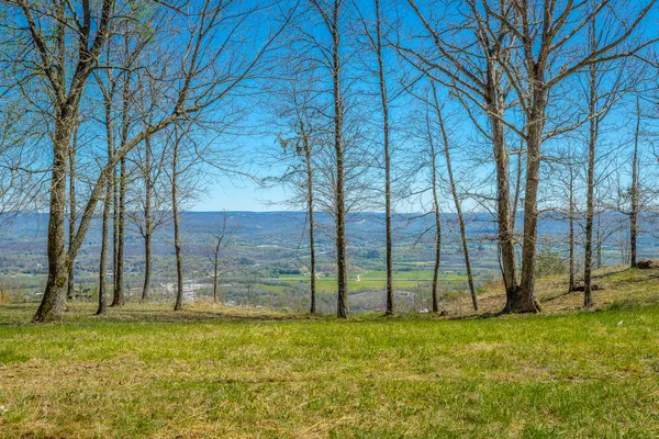 $350,000 | 0 River Bluffs Drive, Unit RB61, Jasper, TN 37347