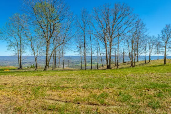 $350,000 | 0 River Bluffs Drive, Unit RB61, Jasper, TN 37347