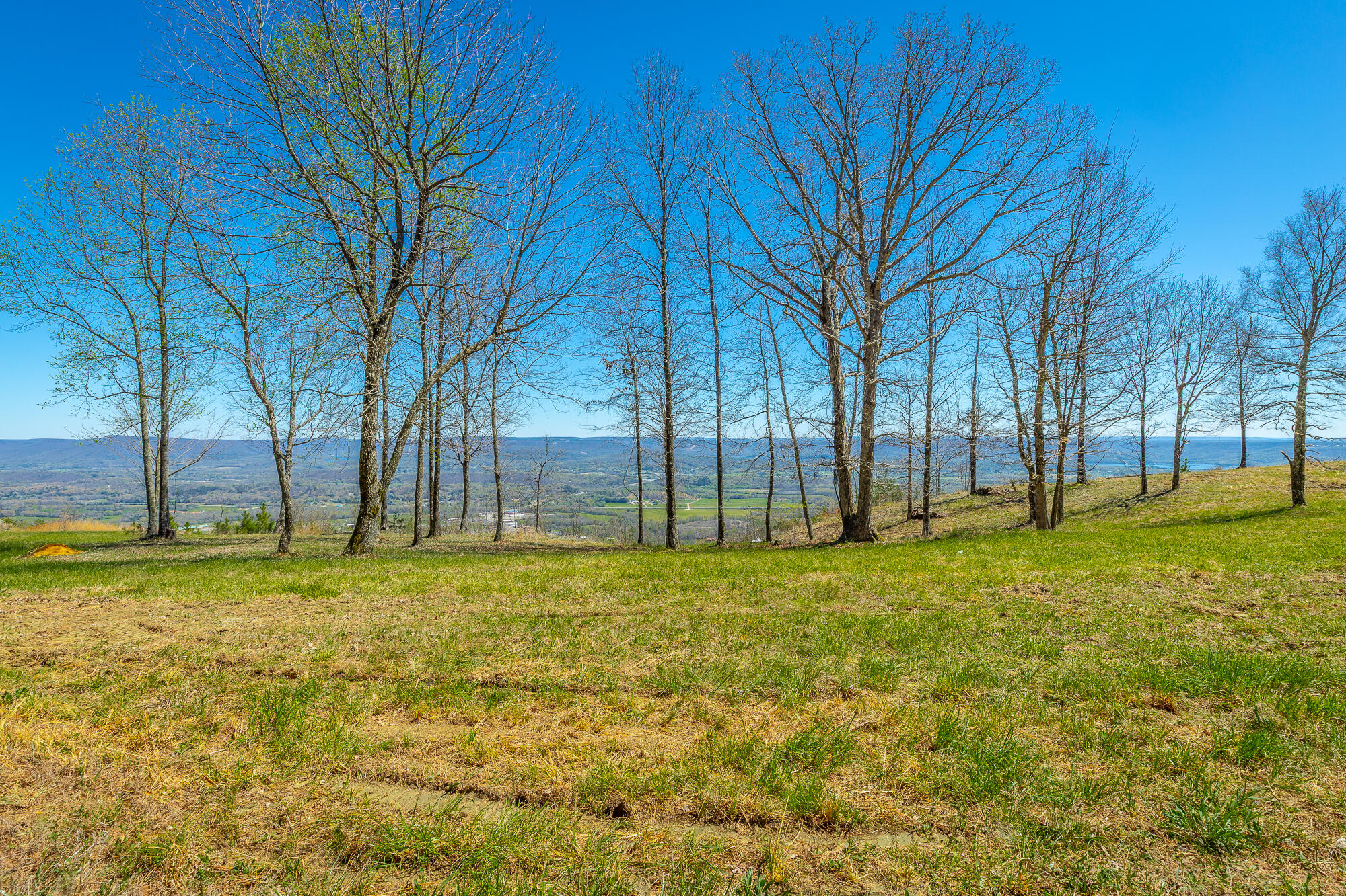 0 River Bluffs Drive, Unit RB61 Jasper, TN 37347 - Photo 33 of 112 0 River Bluffs Drive - RB61 HD-67