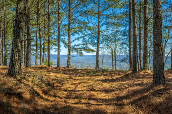 $350,000 | 0 River Bluffs Drive, Unit RB61, Jasper, TN 37347