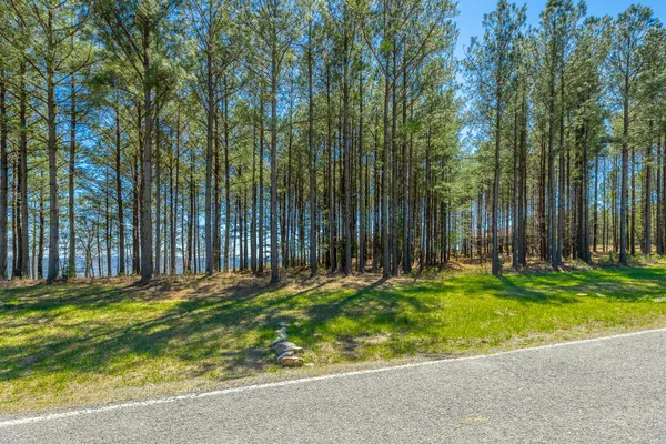 $350,000 | 0 River Bluffs Drive, Unit RB61, Jasper, TN 37347