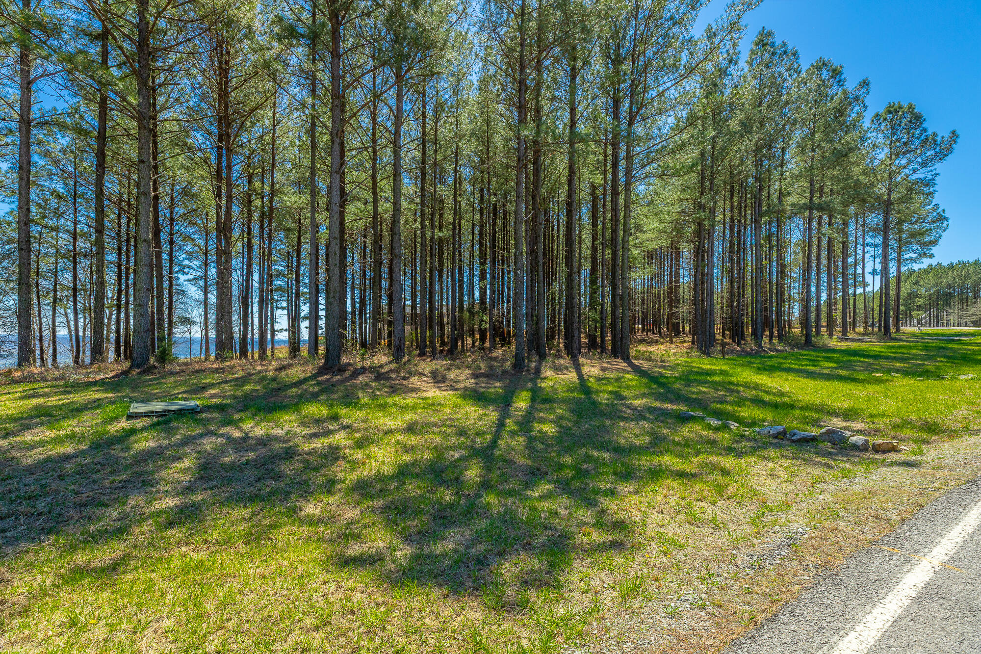 0 River Bluffs Drive, Unit RB61 Jasper, TN 37347 - Photo 38 of 112 0 River Bluffs Drive - RB61 HD-63