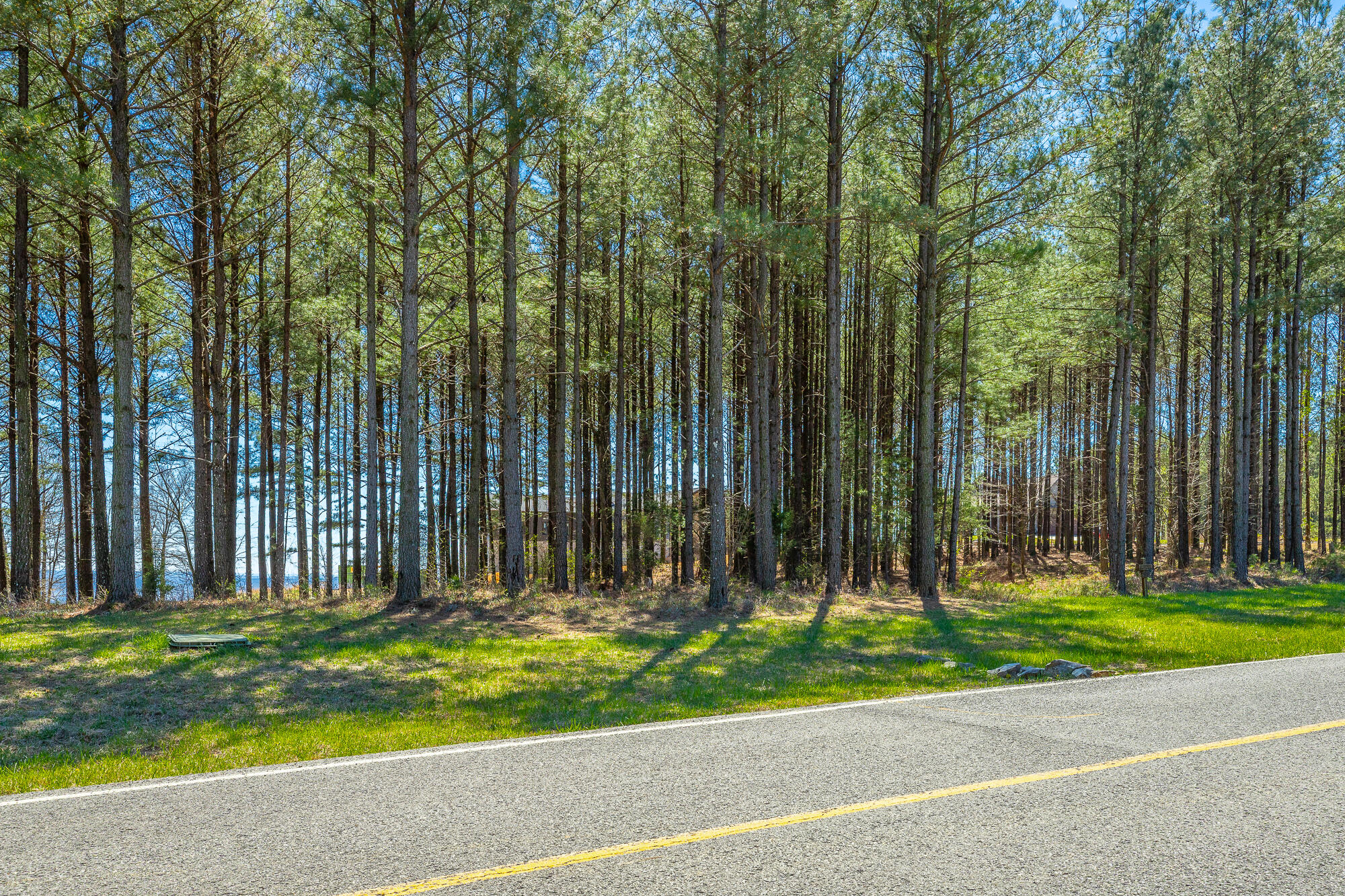 0 River Bluffs Drive, Unit RB61 Jasper, TN 37347 - Photo 39 of 112 0 River Bluffs Drive - RB61 HD-62