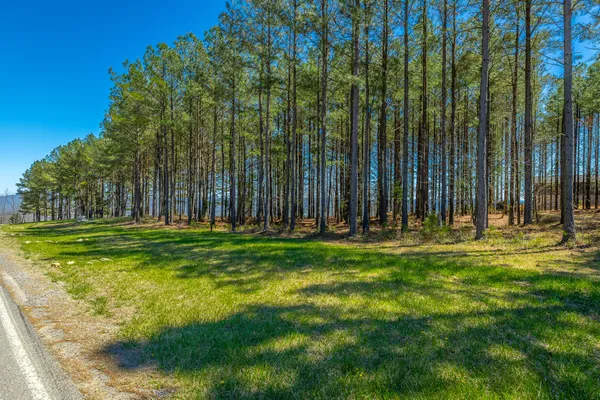 $350,000 | 0 River Bluffs Drive, Unit RB61, Jasper, TN 37347