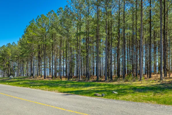 $350,000 | 0 River Bluffs Drive, Unit RB61, Jasper, TN 37347