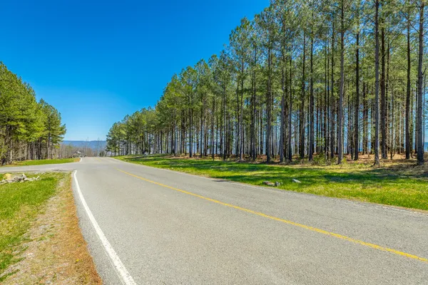 $350,000 | 0 River Bluffs Drive, Unit RB61, Jasper, TN 37347