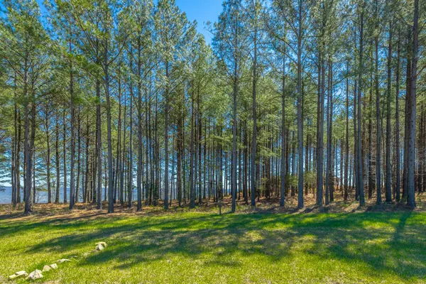 $350,000 | 0 River Bluffs Drive, Unit RB61, Jasper, TN 37347