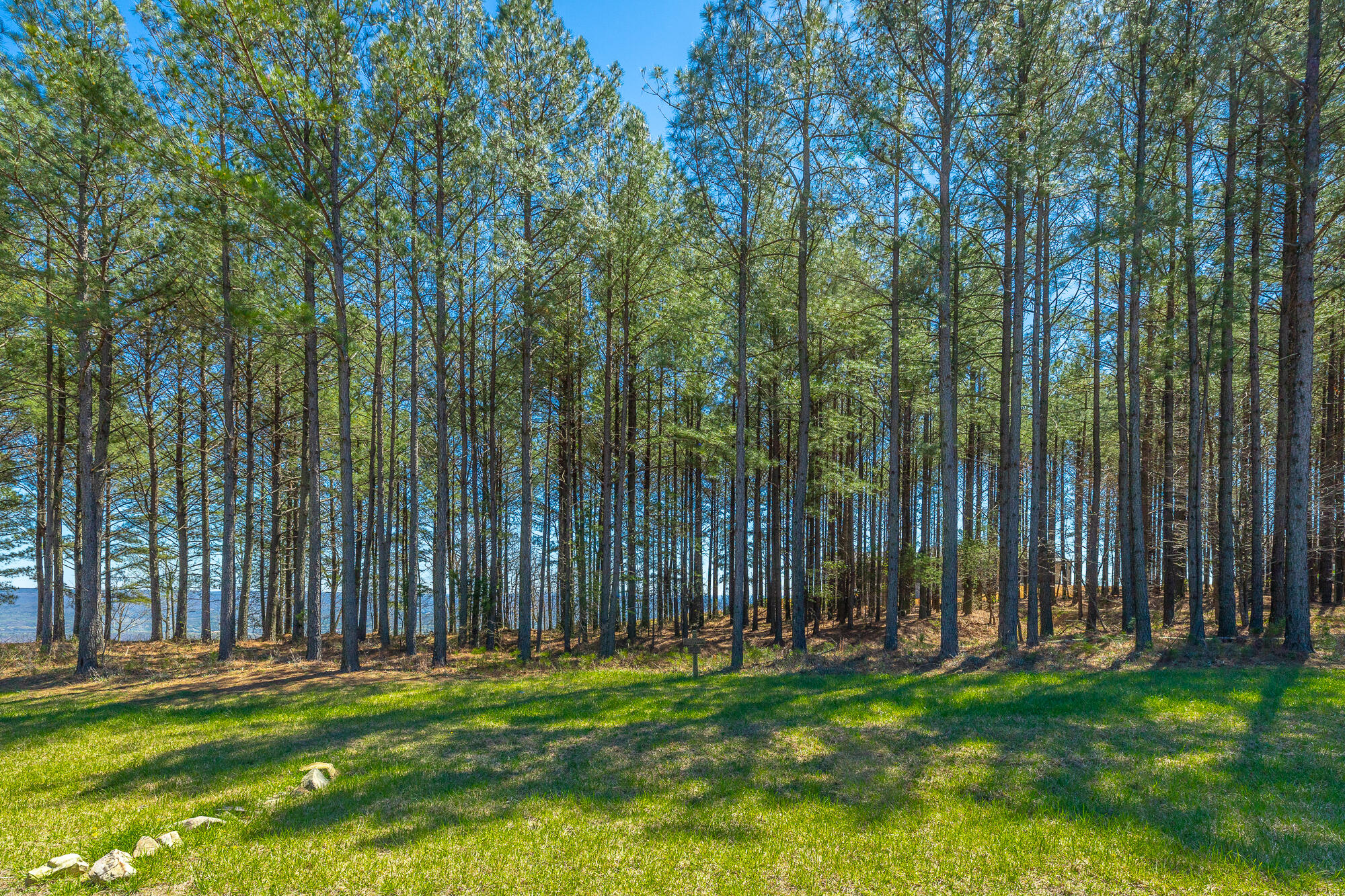 0 River Bluffs Drive, Unit RB61 Jasper, TN 37347 - Photo 46 of 112 0 River Bluffs Drive - RB61 HD-55