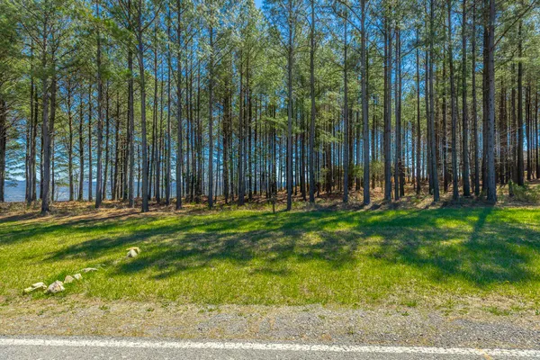 $350,000 | 0 River Bluffs Drive, Unit RB61, Jasper, TN 37347