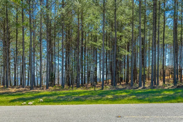 $350,000 | 0 River Bluffs Drive, Unit RB61, Jasper, TN 37347