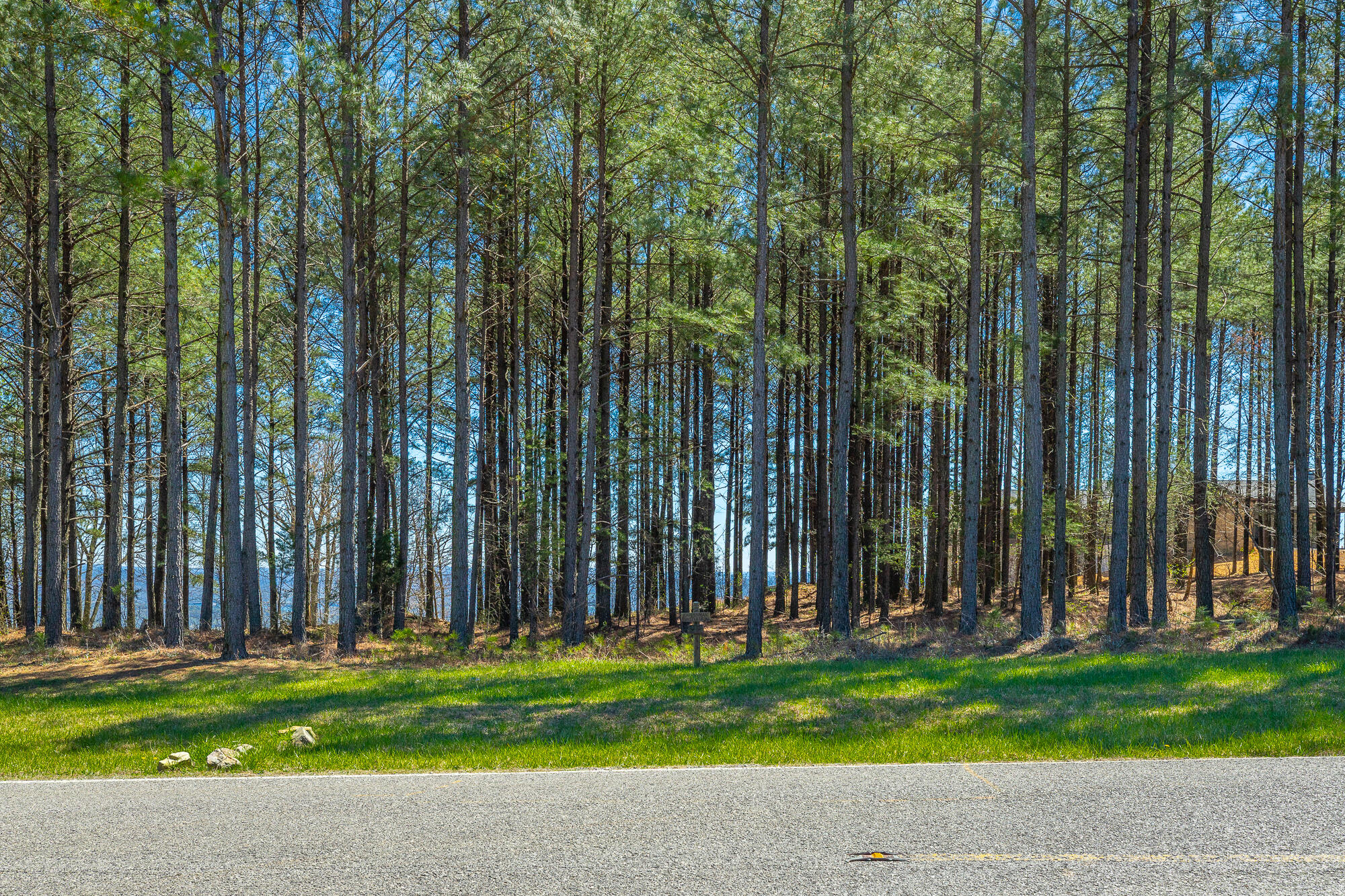0 River Bluffs Drive, Unit RB61 Jasper, TN 37347 - Photo 48 of 112 0 River Bluffs Drive - RB61 HD-53