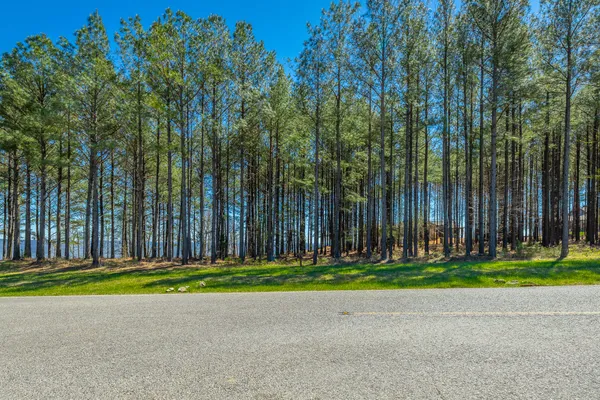 $350,000 | 0 River Bluffs Drive, Unit RB61, Jasper, TN 37347