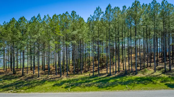 $350,000 | 0 River Bluffs Drive, Unit RB61, Jasper, TN 37347