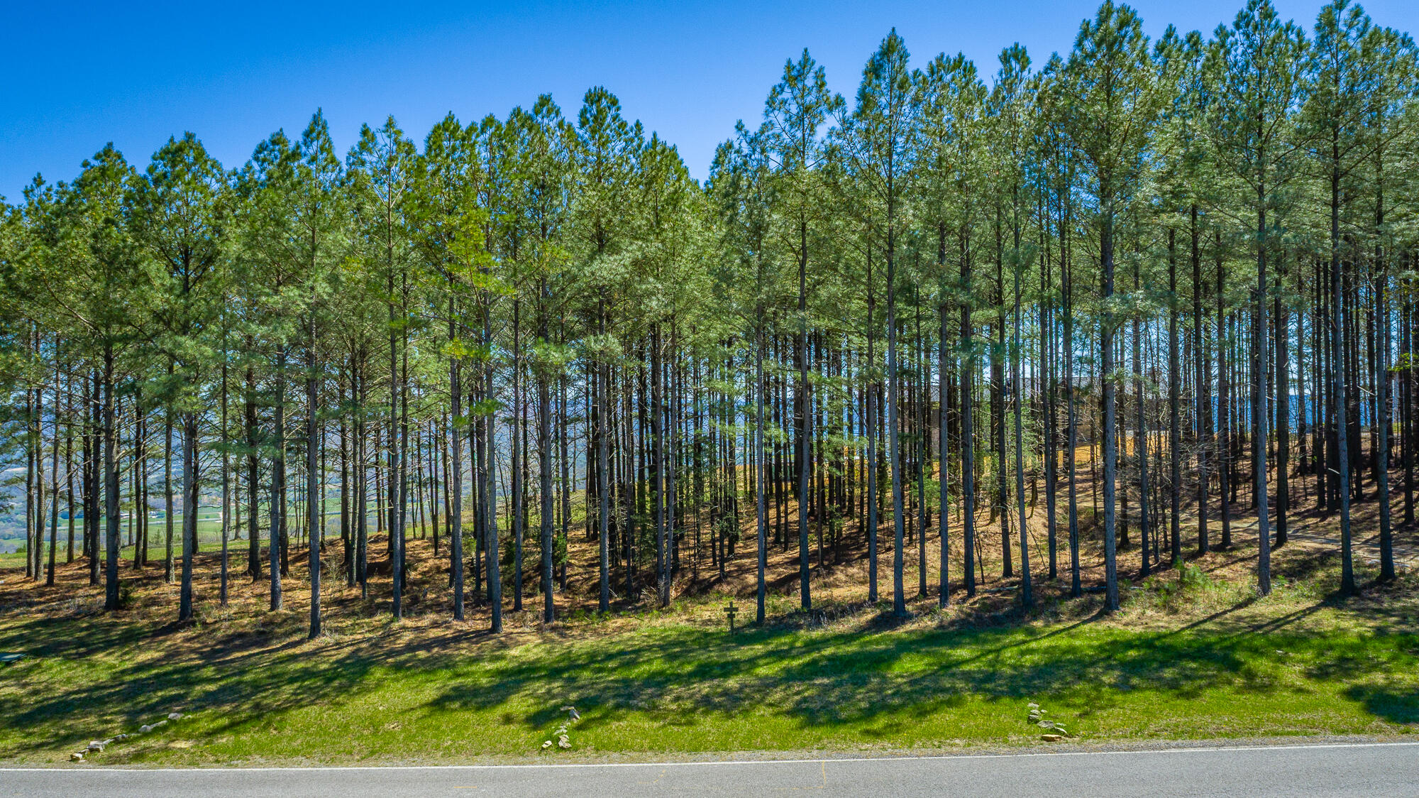 0 River Bluffs Drive, Unit RB61 Jasper, TN 37347 - Photo 50 of 112 0 River Bluffs Drive - RB61 HD-1