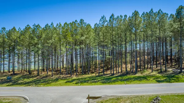 $350,000 | 0 River Bluffs Drive, Unit RB61, Jasper, TN 37347