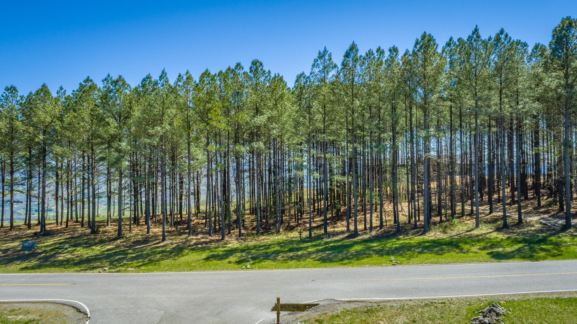 0 River Bluffs Drive, Unit RB61 Jasper, TN 37347 - Photo 51 of 112 0 River Bluffs Drive - RB61 HD-2