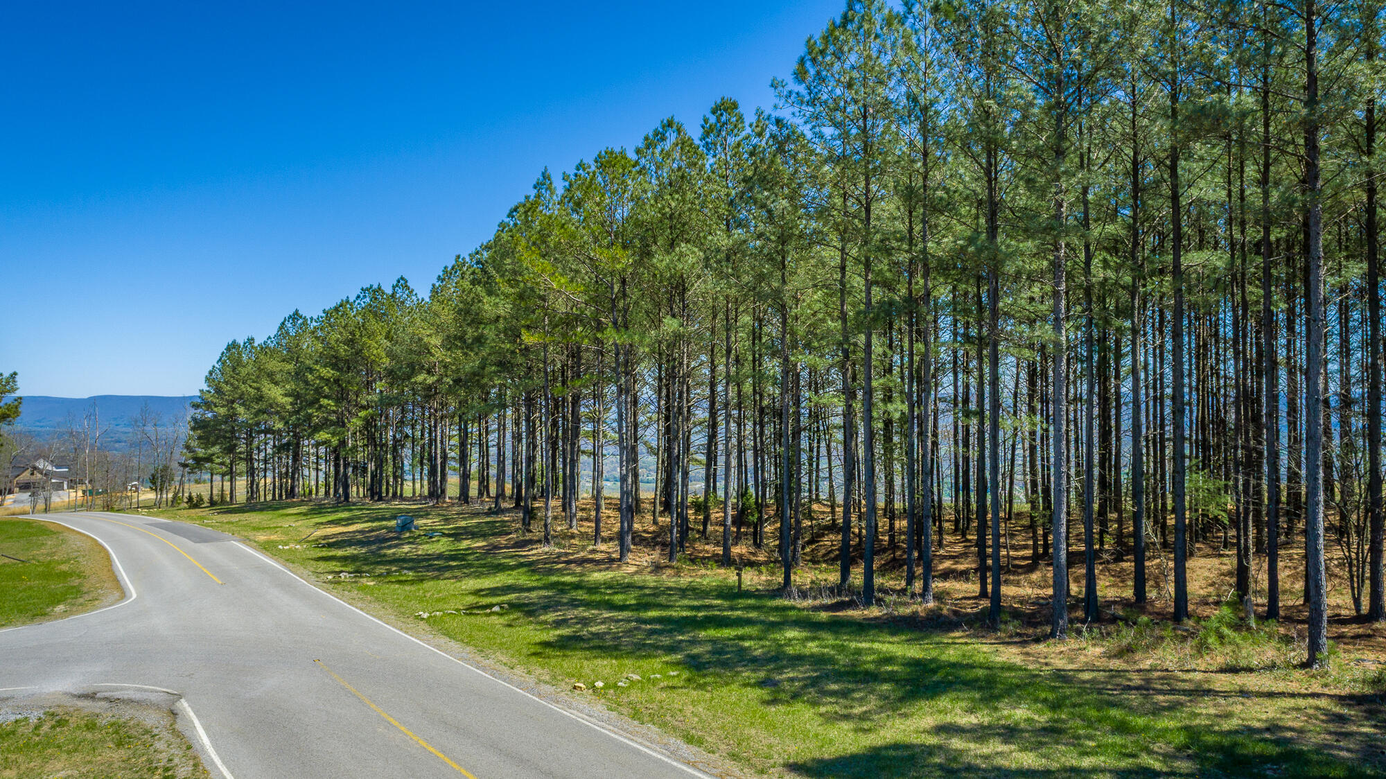 0 River Bluffs Drive, Unit RB61 Jasper, TN 37347 - Photo 52 of 112 0 River Bluffs Drive - RB61 HD-3