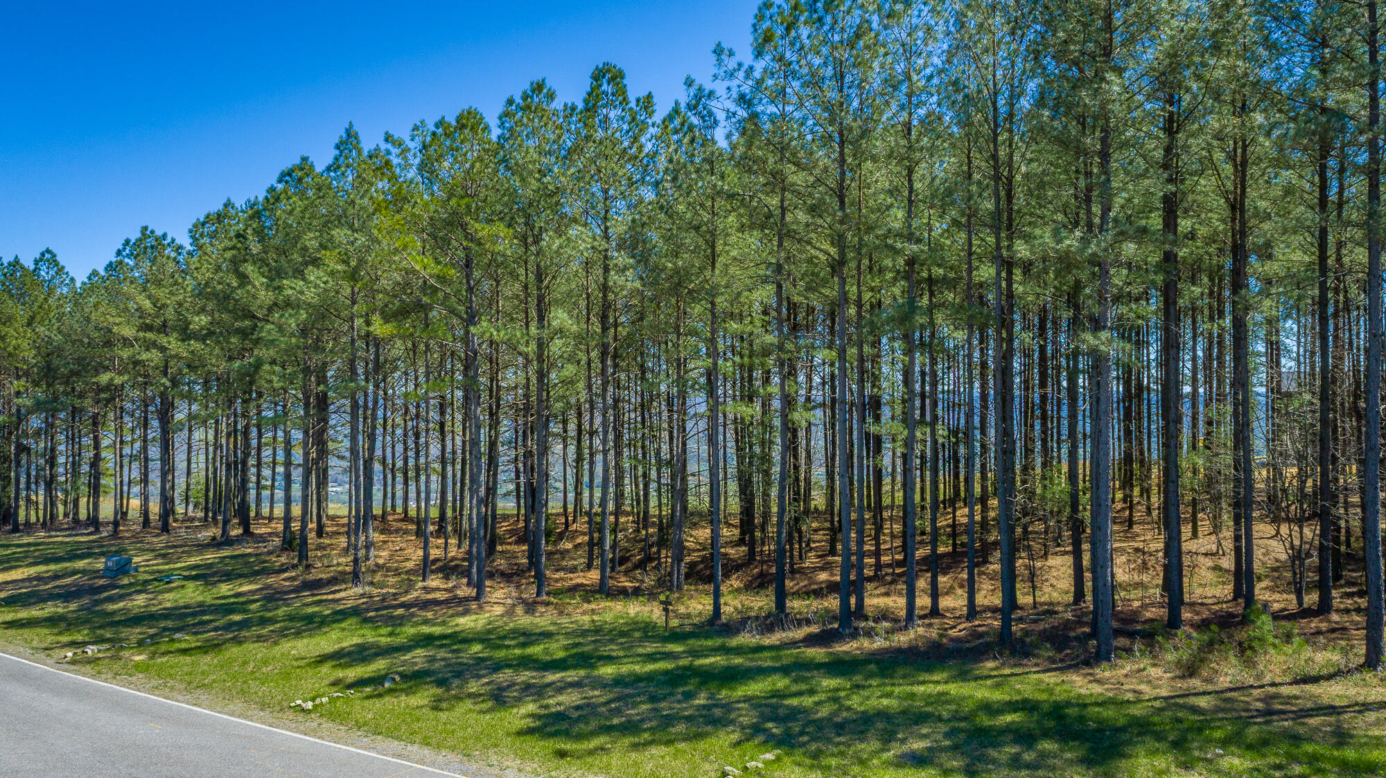 0 River Bluffs Drive, Unit RB61 Jasper, TN 37347 - Photo 53 of 112 0 River Bluffs Drive - RB61 HD-4