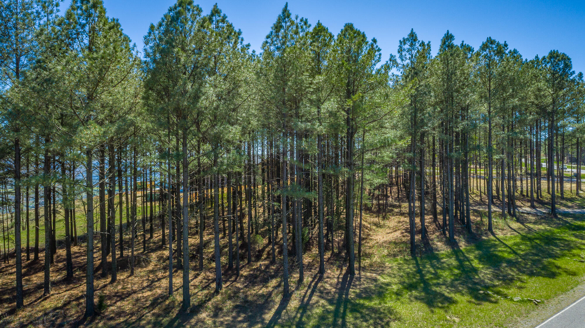 0 River Bluffs Drive, Unit RB61 Jasper, TN 37347 - Photo 54 of 112 0 River Bluffs Drive - RB61 HD-5