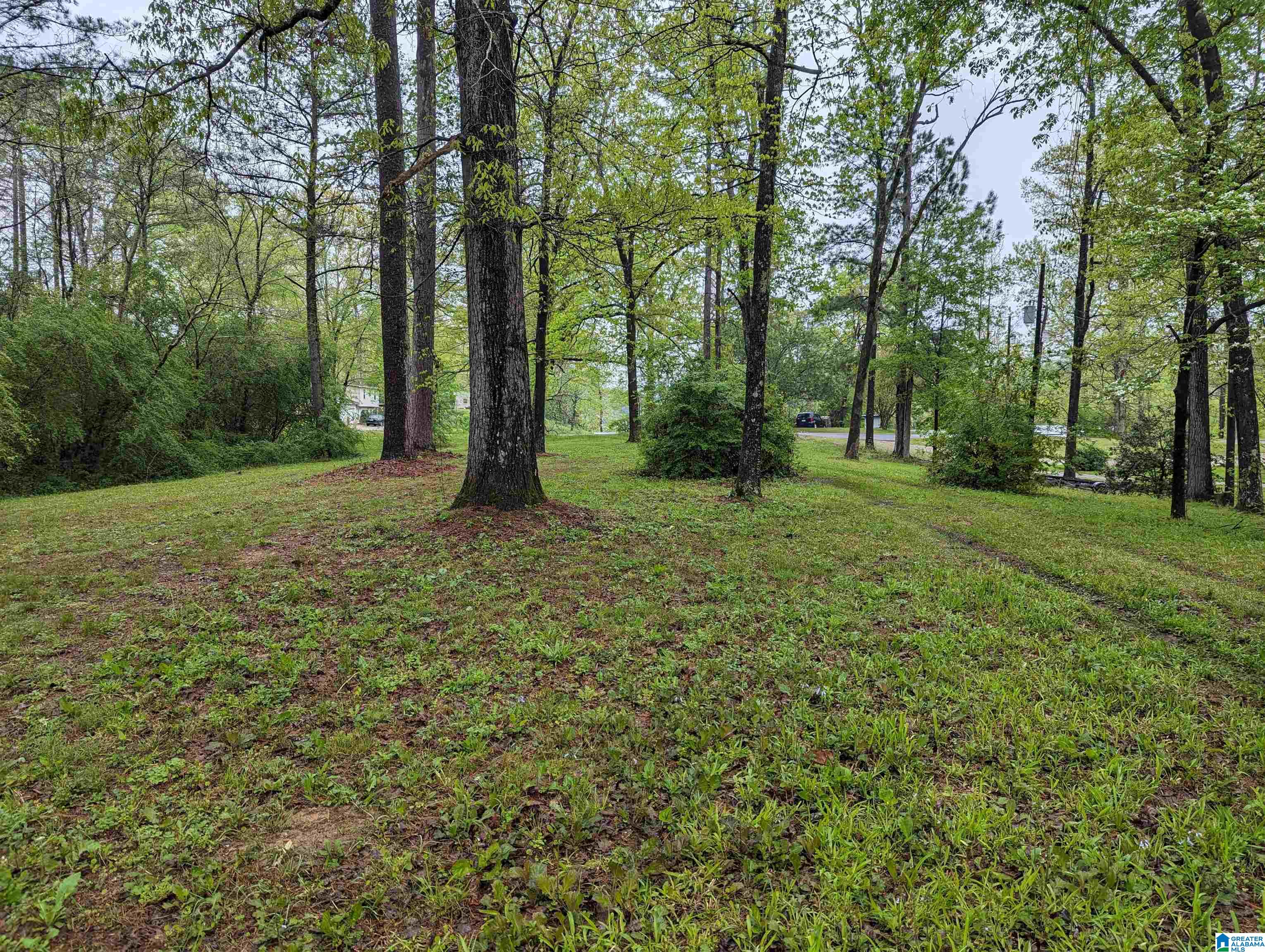 119 Boutwell Road Adger, AL 35006 - Photo 33 of 37