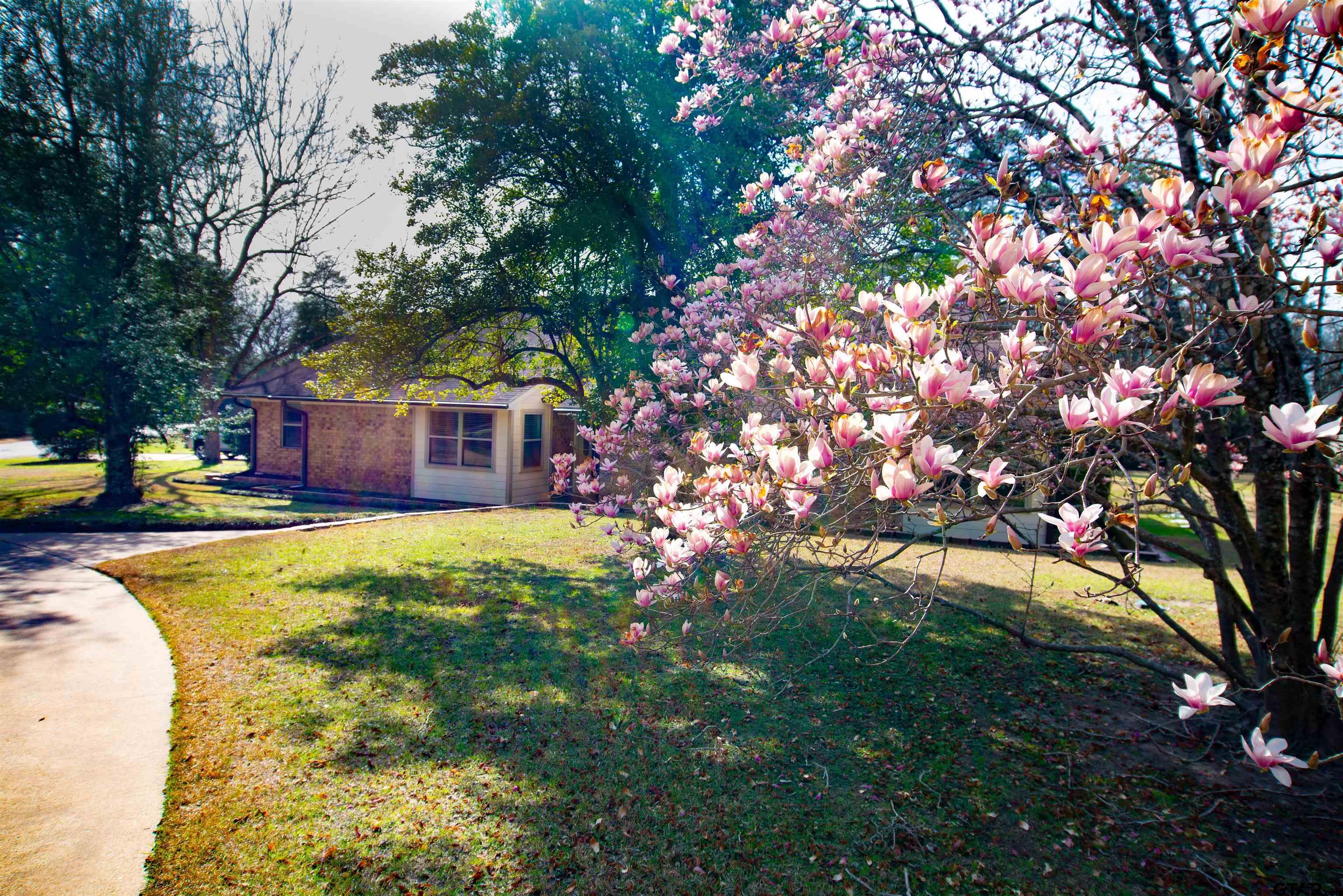 115 Raton Pass Holly Lake Ranch, TX 75765 - Photo 2 of 46