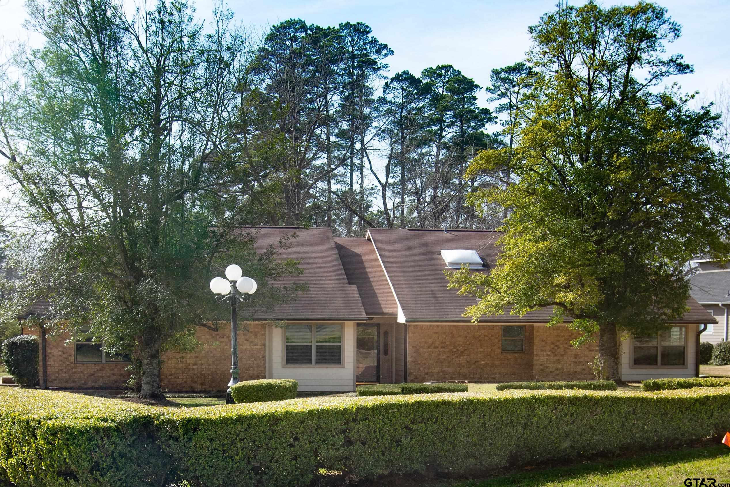 115 Raton Pass Holly Lake Ranch, TX 75765 - Photo 3 of 46