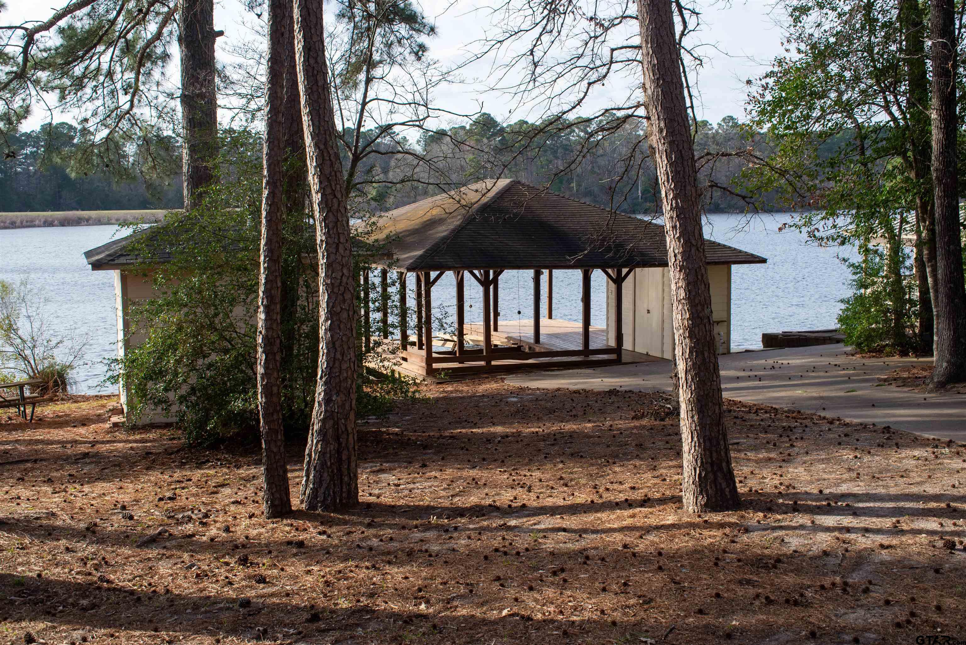 115 Raton Pass Holly Lake Ranch, TX 75765 - Photo 39 of 46