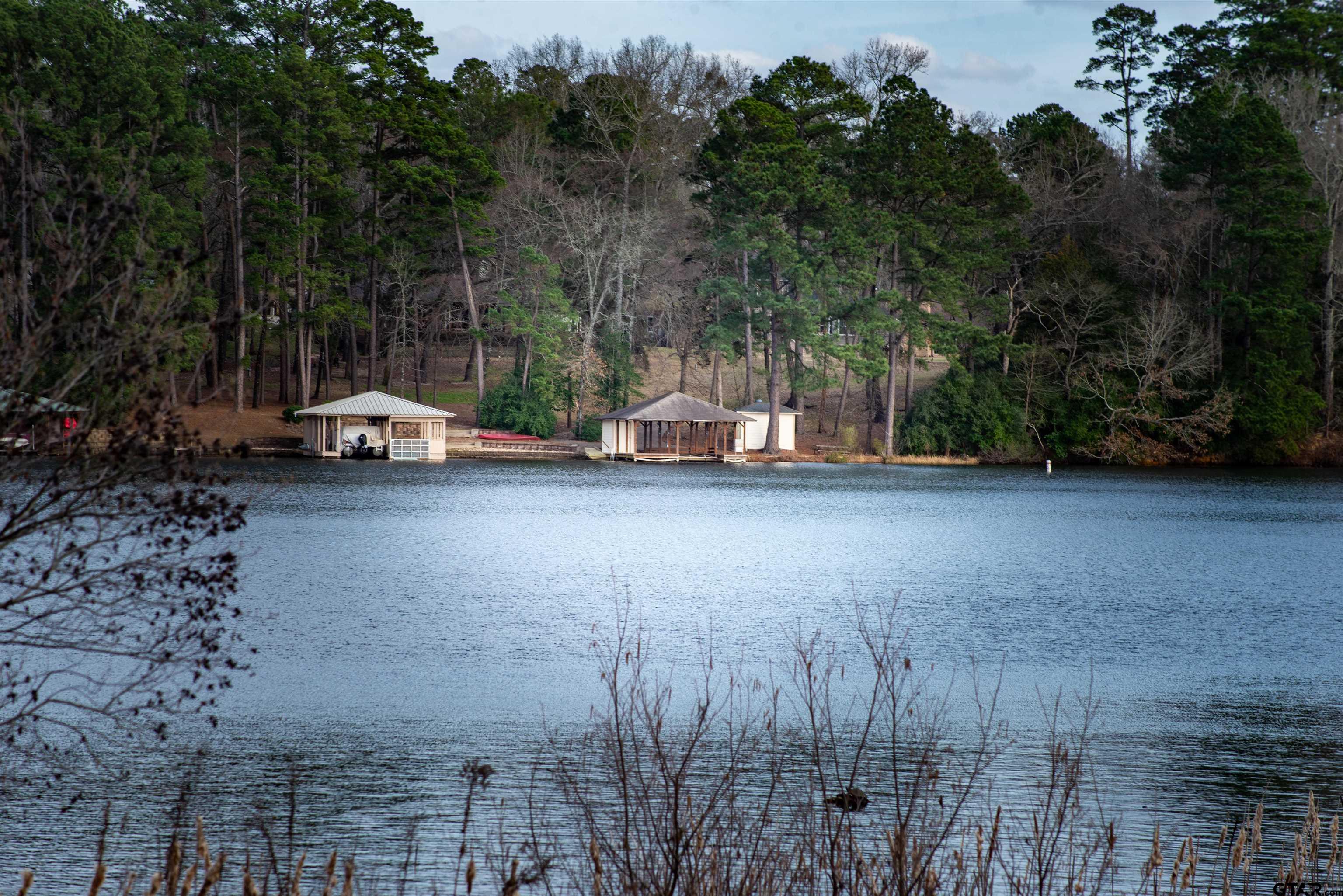 115 Raton Pass Holly Lake Ranch, TX 75765 - Photo 44 of 46