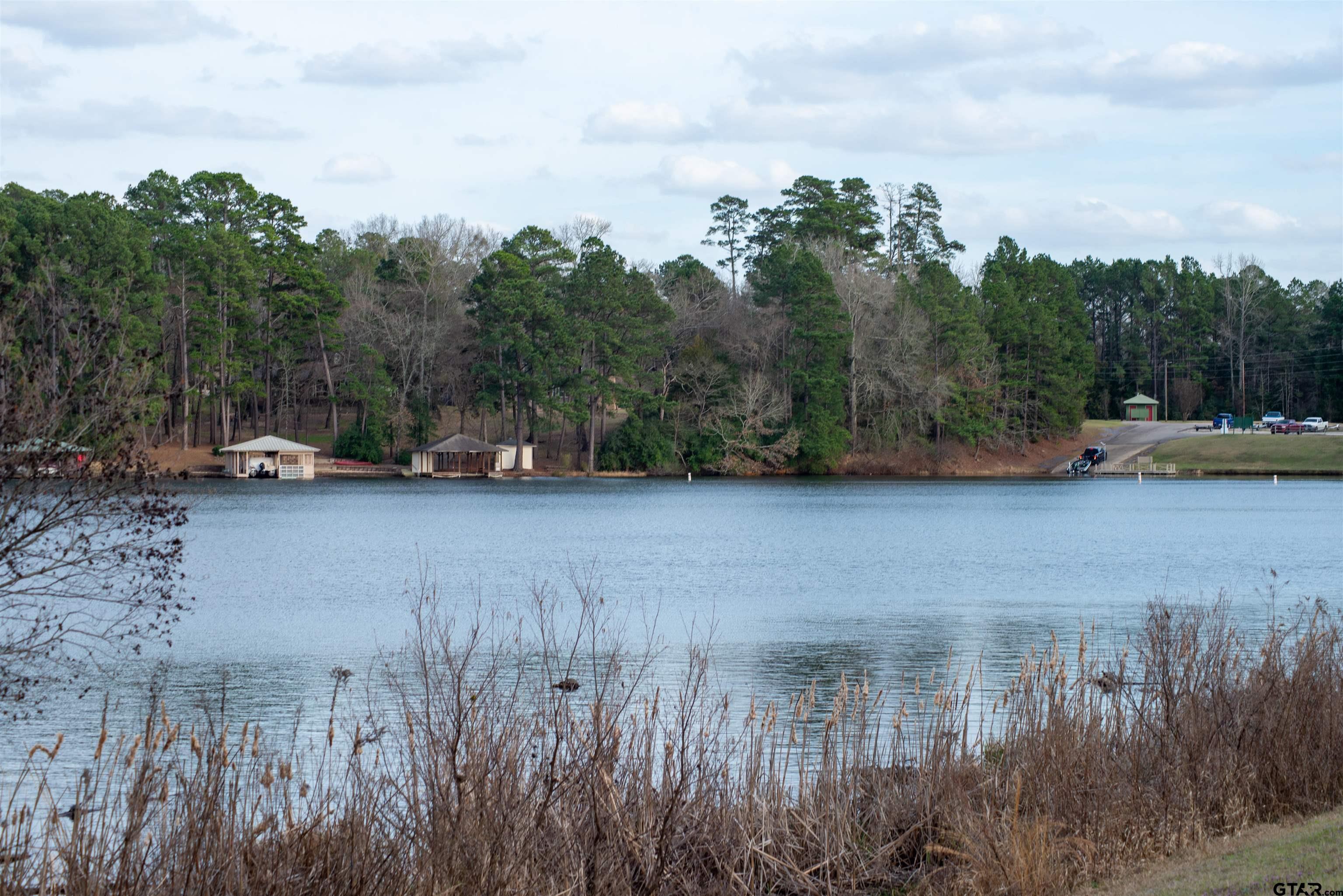 115 Raton Pass Holly Lake Ranch, TX 75765 - Photo 45 of 46