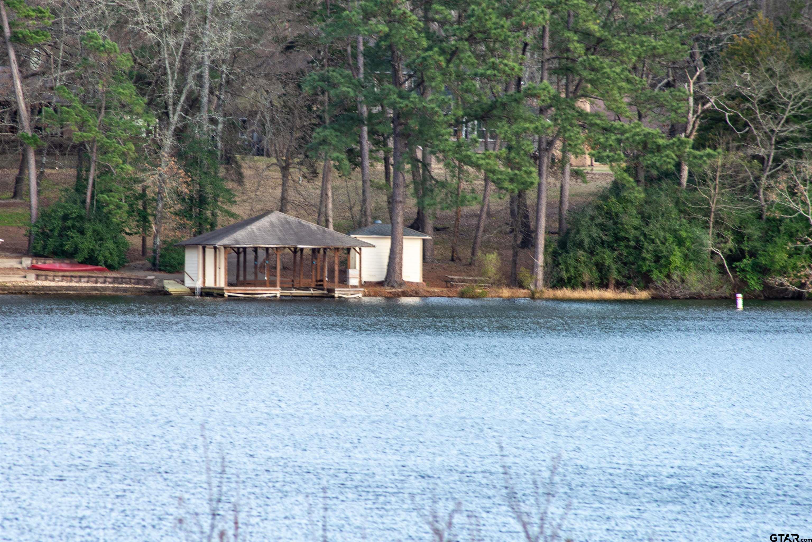 115 Raton Pass Holly Lake Ranch, TX 75765 - Photo 46 of 46