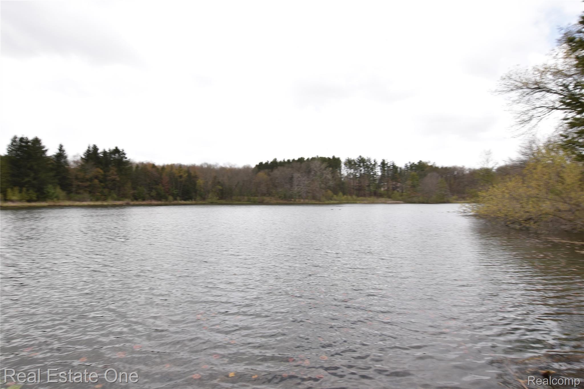 5797 Cullen Road Fenton, MI 48430 - Photo 40 of 44 DSC_0095.JPG