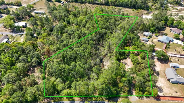 a view of a lush green forest with lots of trees