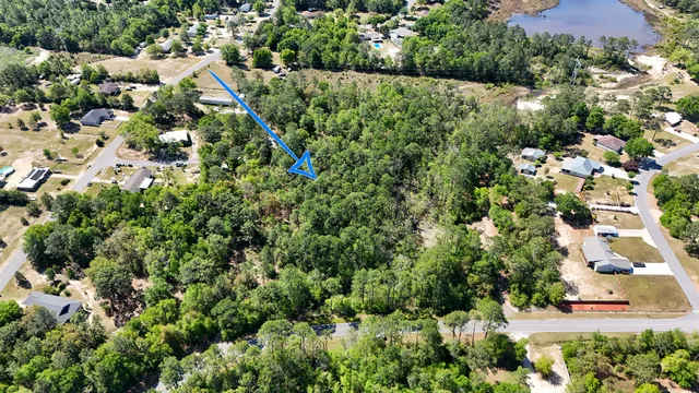 an aerial view of residential houses with outdoor space and trees