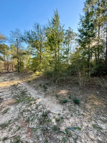 a view of a yard with trees in the background