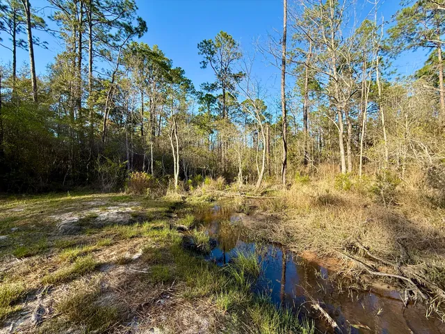 a view of yard with tree