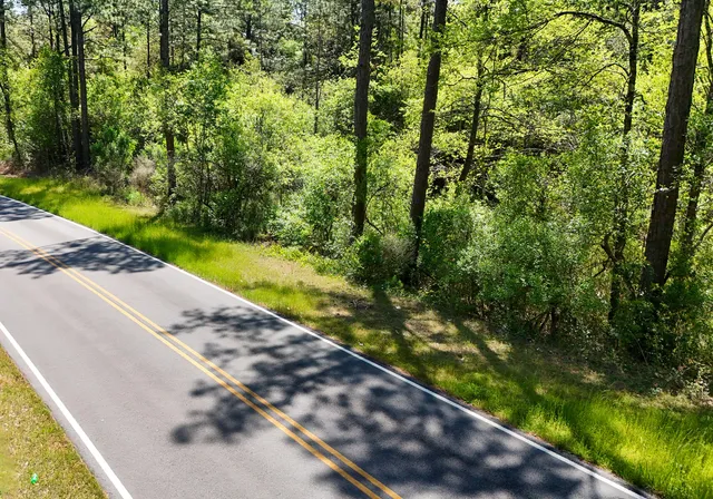 a view of a yard with potted plants