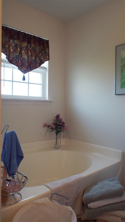 107 Palm Branch Way Anderson, SC 29621 - Photo 22 of 36