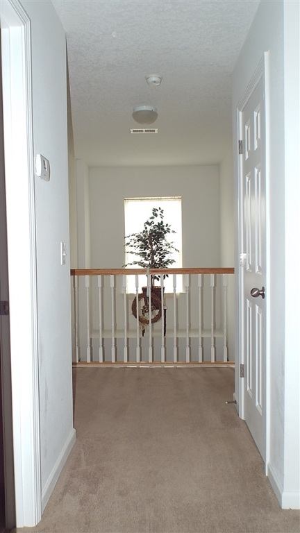 107 Palm Branch Way Anderson, SC 29621 - Photo 24 of 36