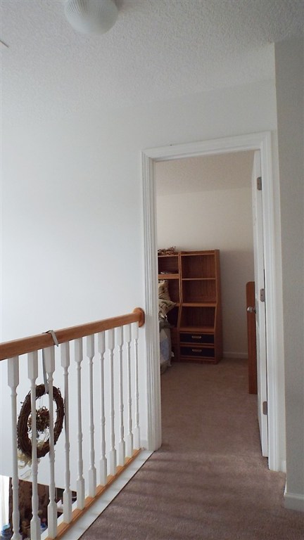 107 Palm Branch Way Anderson, SC 29621 - Photo 26 of 36