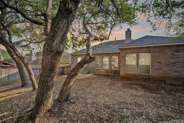 a house that has a tree in front of the house