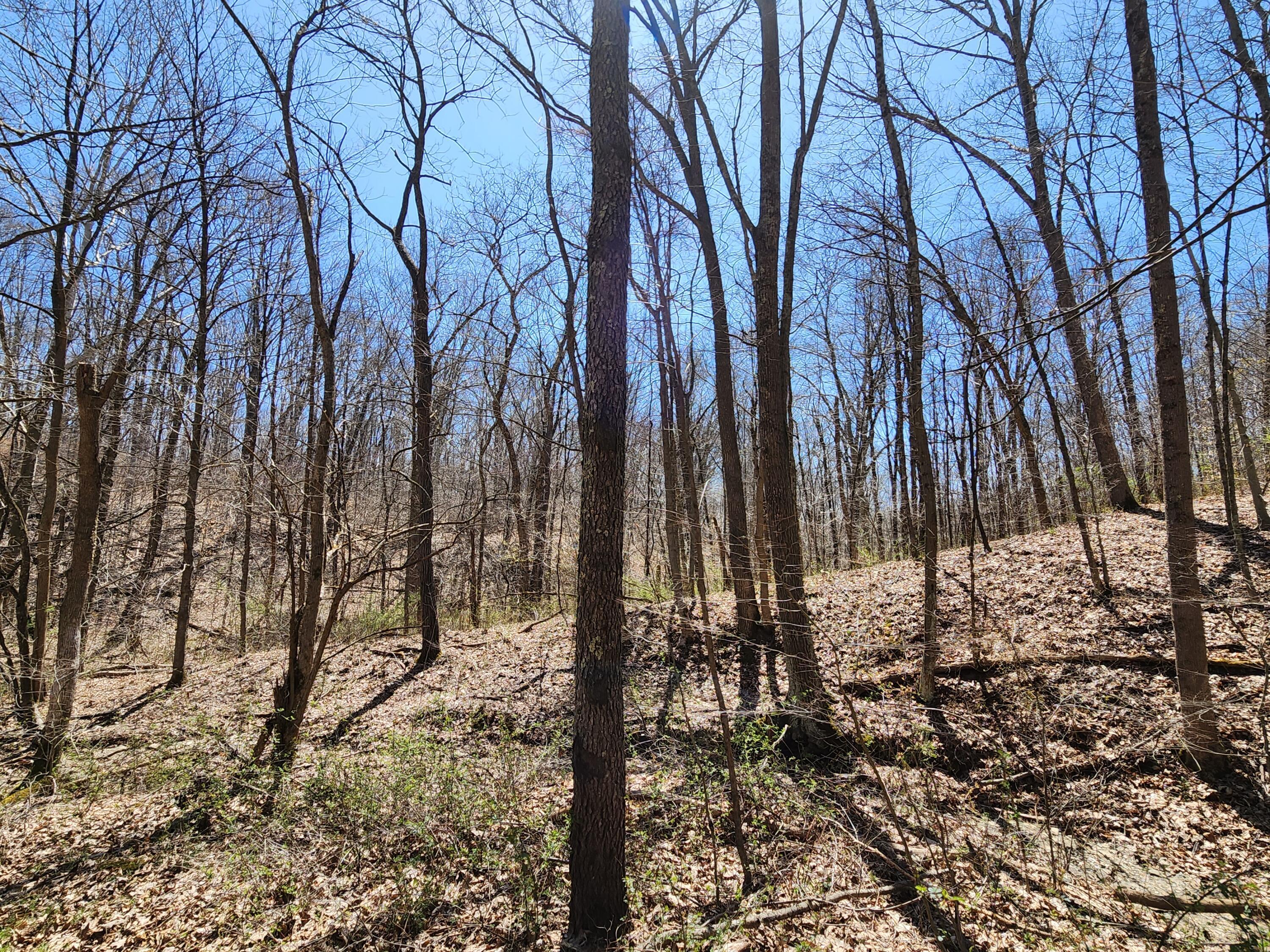 0 Halleys Ridge Road Caldwell, OH 43724 - Photo 34 of 69 20230411_133243