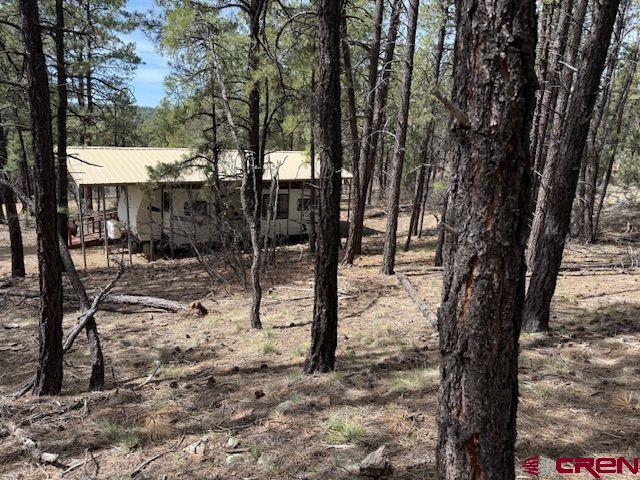 1207 West View Road Pagosa Springs, CO 81147 - Photo 10 of 28 Gallery Image 10