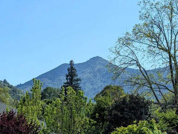 $3,695,000 | 115 Sunnyside Avenue, San Anselmo, CA 94960