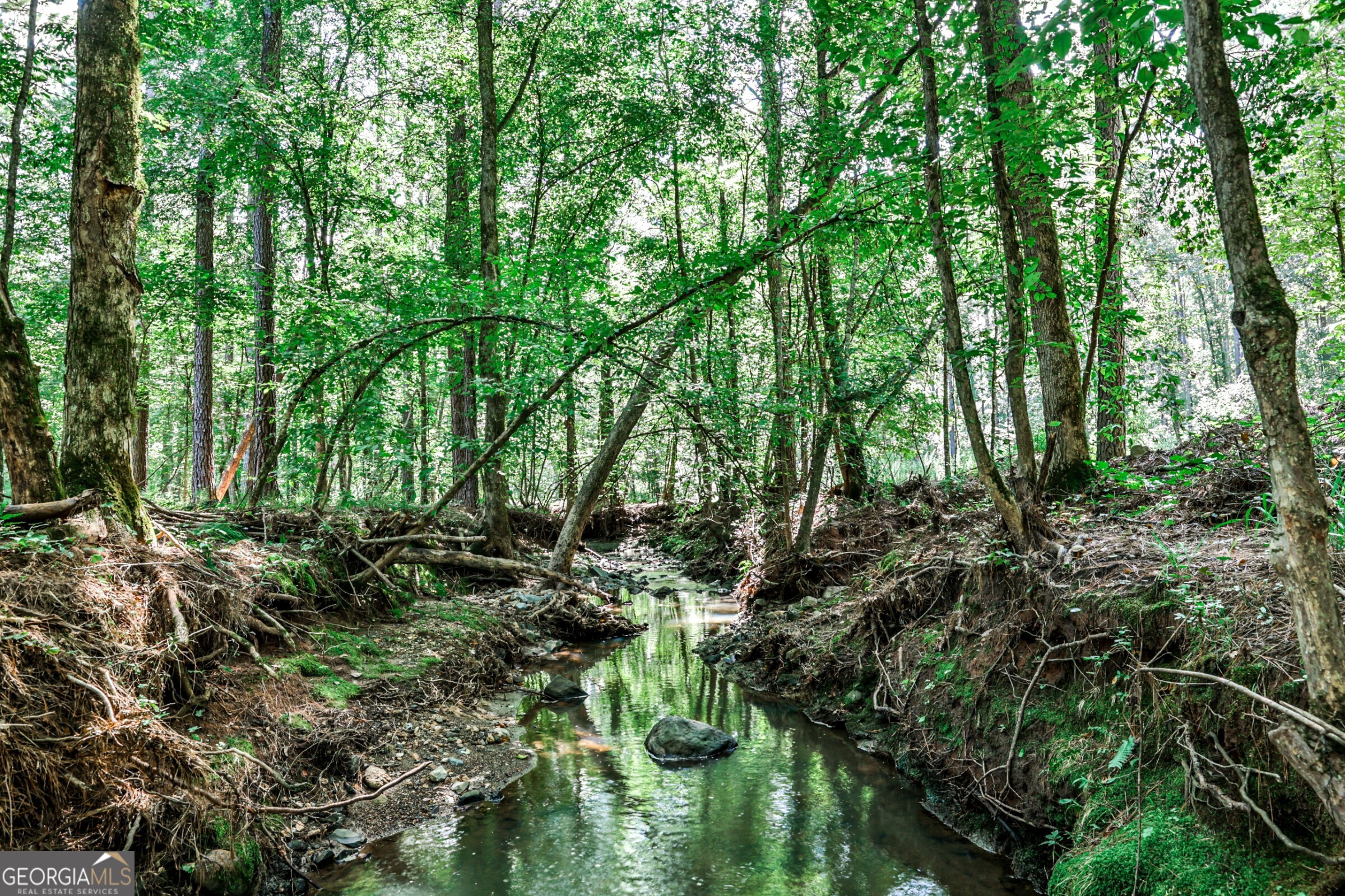a view of outdoor space and covered with trees