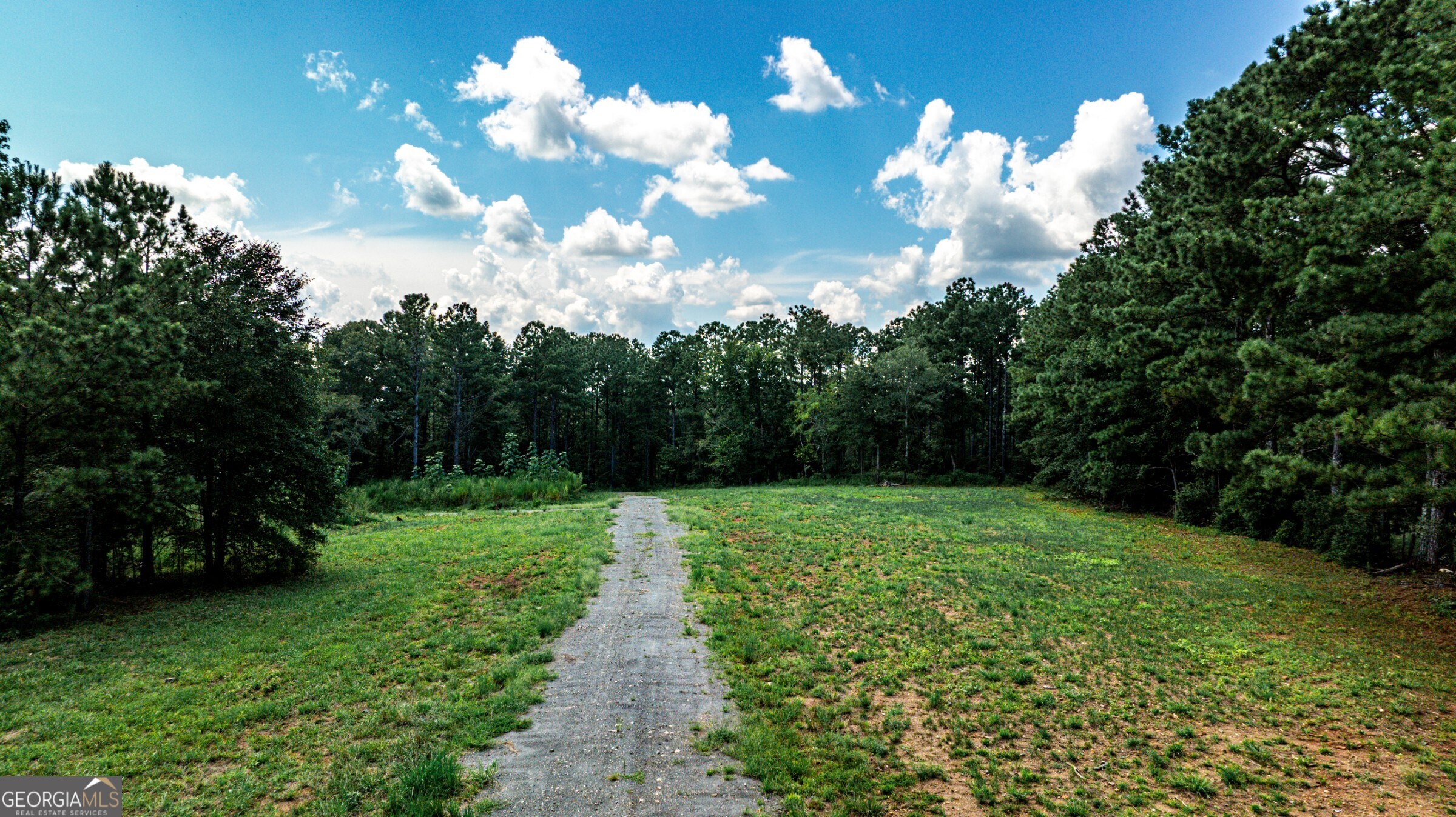 0 Felton Mcmichael Road Monticello, GA 31064 - Photo 11 of 26 a view of a big yard with plants and large trees