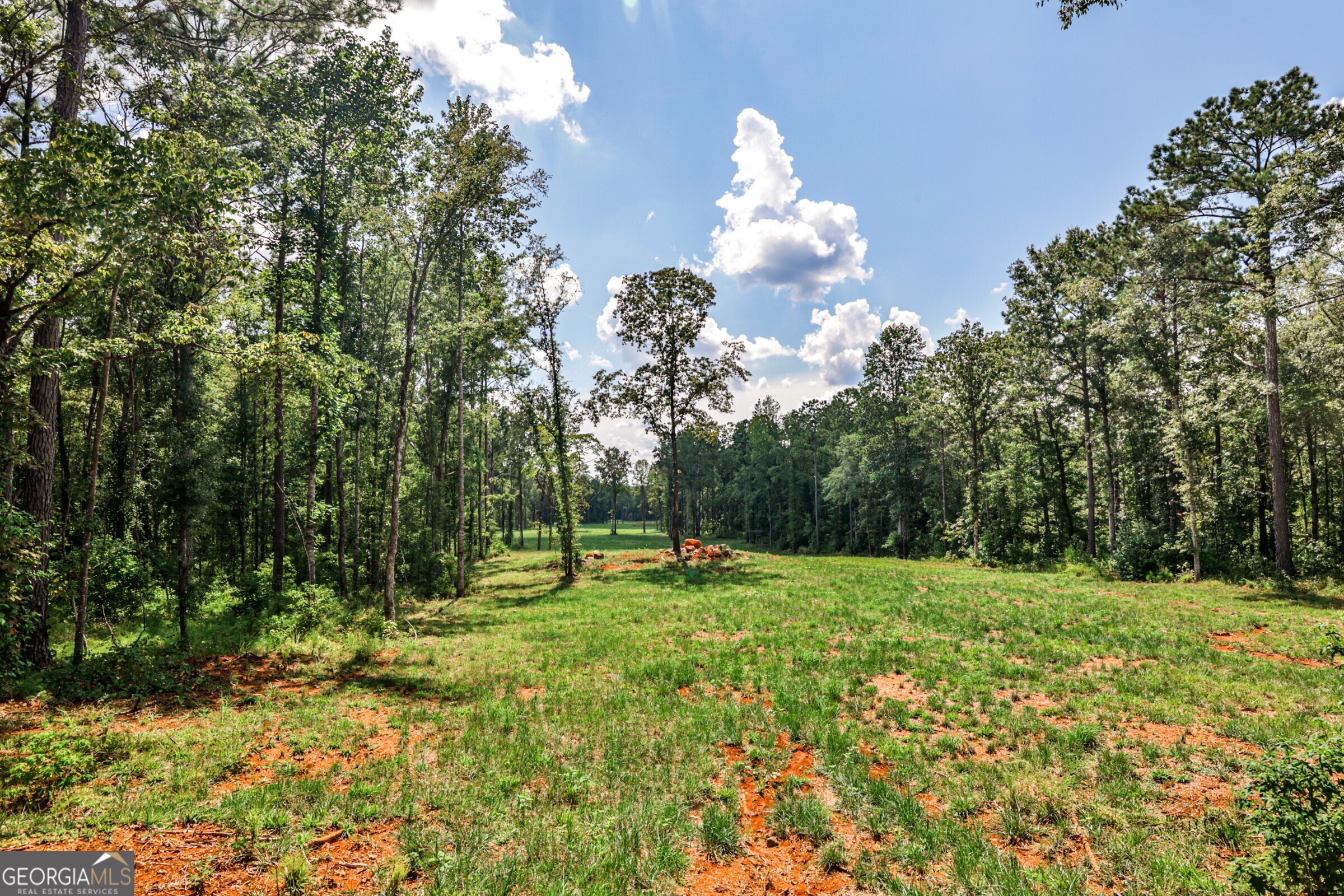 0 Felton Mcmichael Road Monticello, GA 31064 - Photo 13 of 26 a view of a golf course