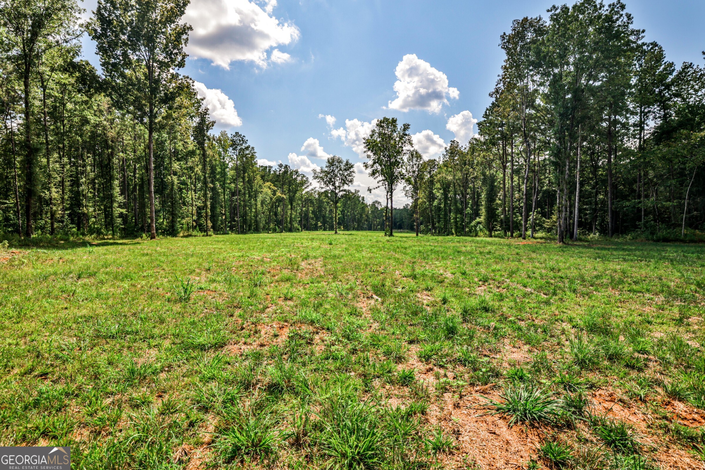 0 Felton Mcmichael Road Monticello, GA 31064 - Photo 14 of 26 a view of a green field with trees in the background