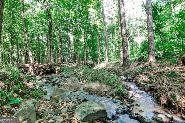 a view of outdoor space and green space