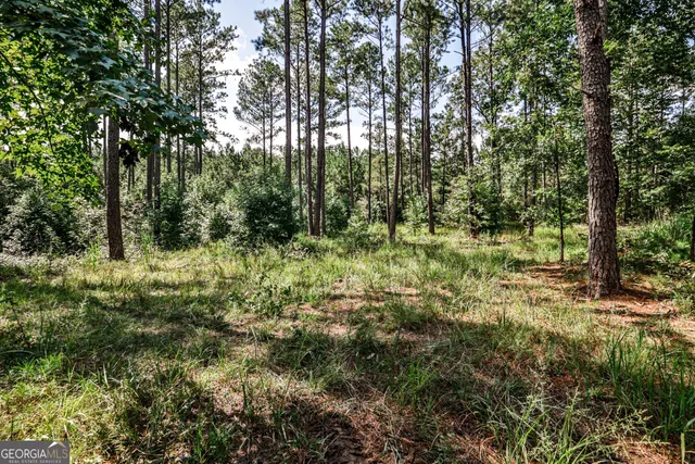 a view of outdoor space and trees