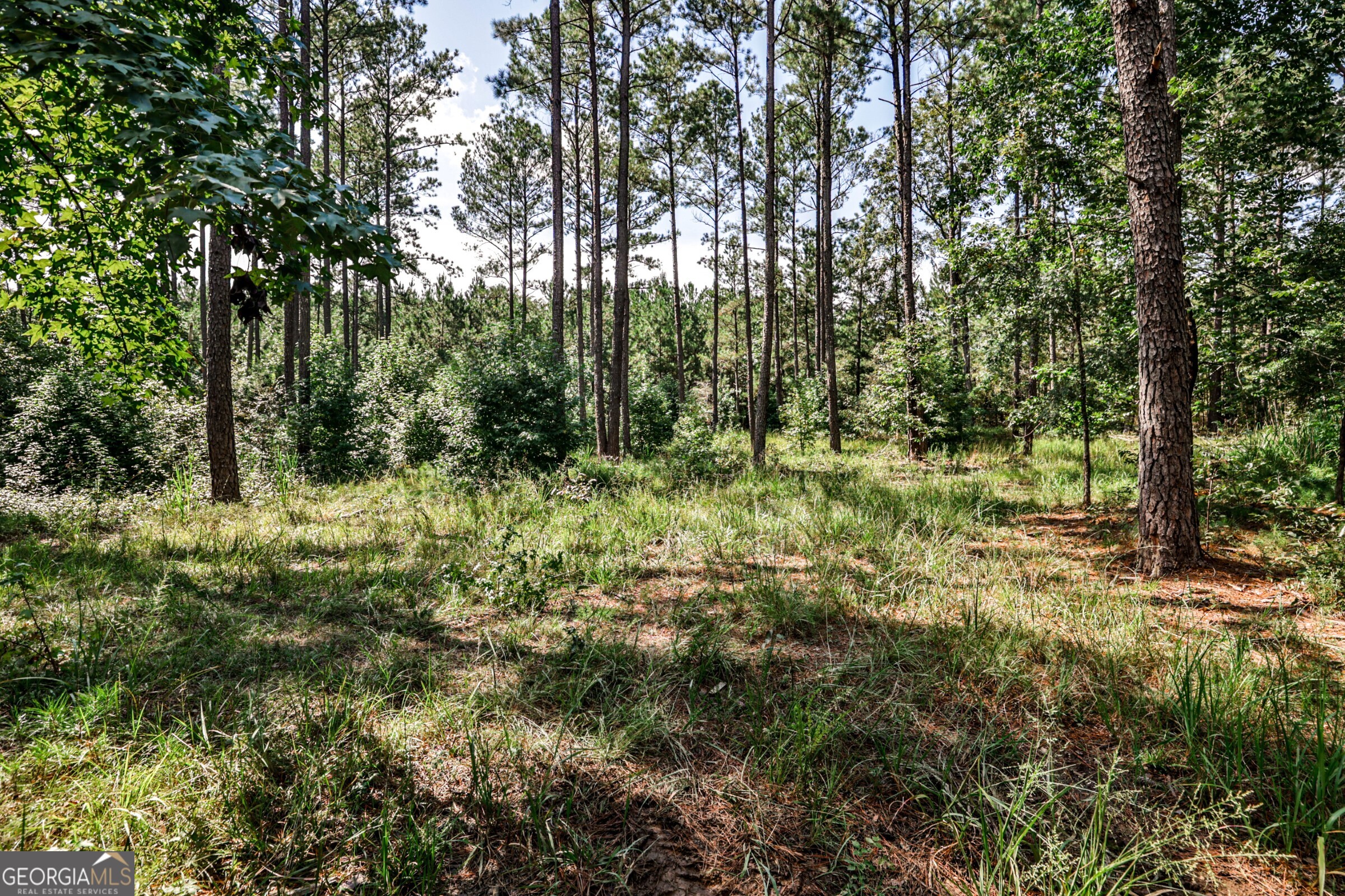0 Felton Mcmichael Road Monticello, GA 31064 - Photo 16 of 26 a view of outdoor space and trees